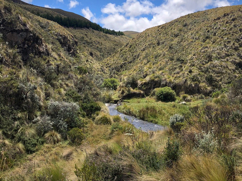 Neotropical Nature & Birding Trips-基多必去景点