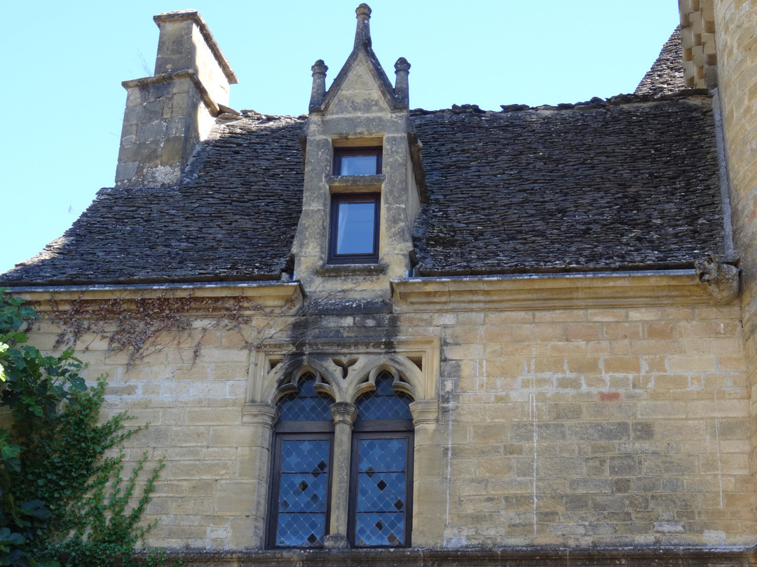 Château de Saint-Geniès景点图片