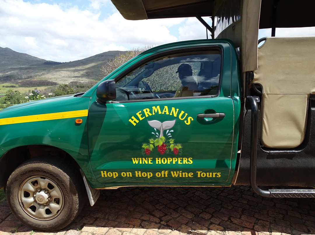 Hermanus Wine Hoppers景点图片