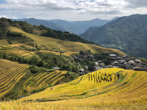 China Odyssey Tours-北京市必去景点