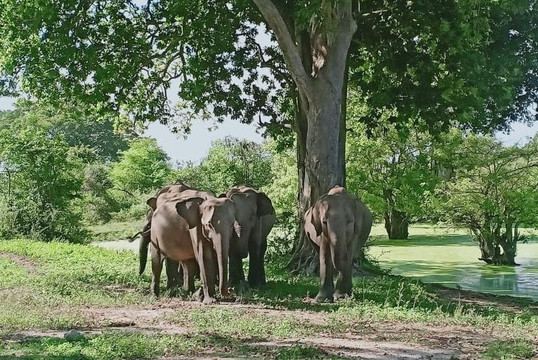 Banuka Malan-美蕊沙必去景点