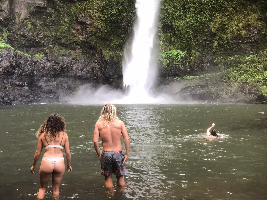 Nandroya Falls- 阿瑟顿必去景点