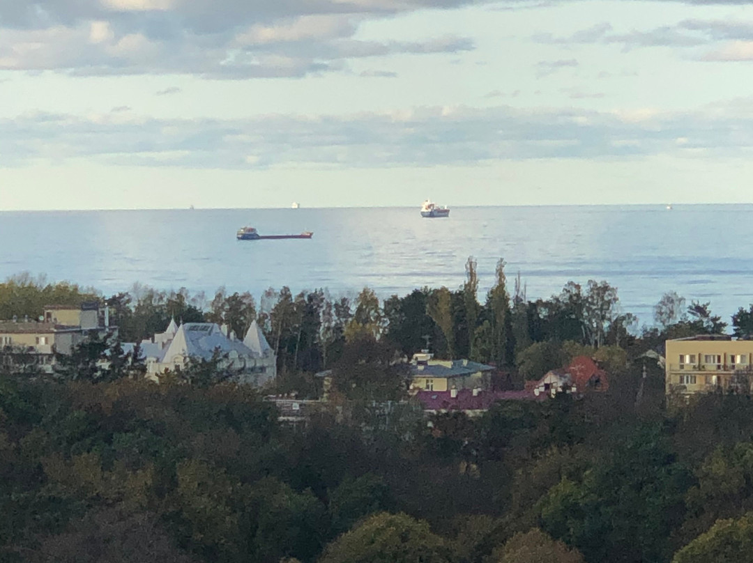 Wieza Koscioła Marcina Lutra景点图片