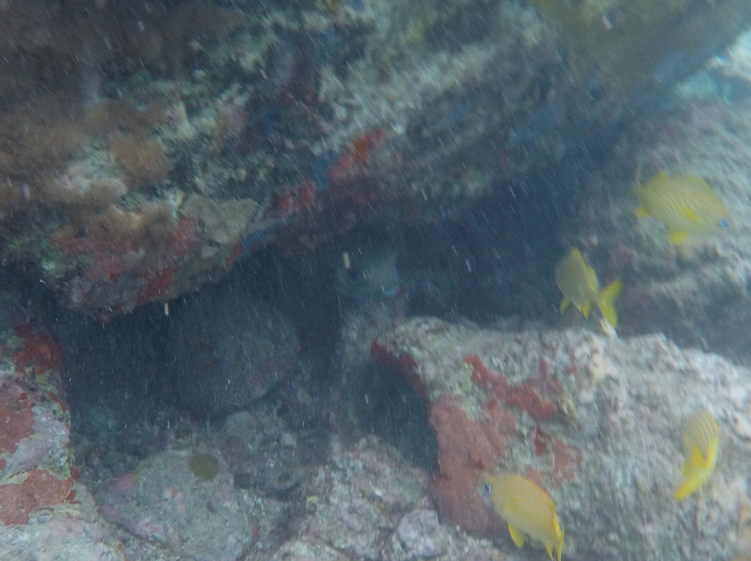 Waterlemon Cay-维尔京群岛国家公园必去景点