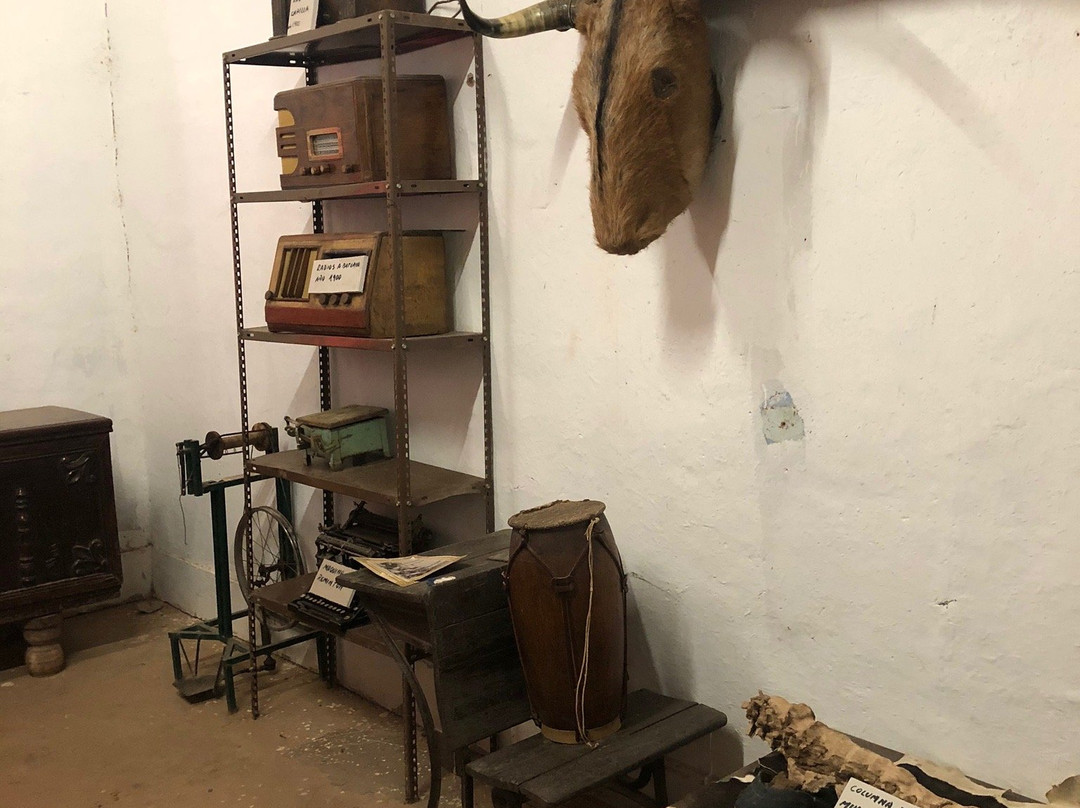 Museo Renzo Herrera景点图片