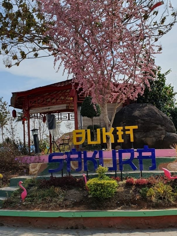 Bukit Sakura-班达楠榜必去景点