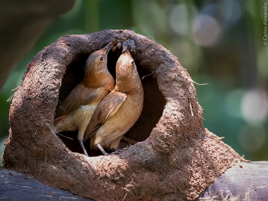 Pousada Reino Encantado主图