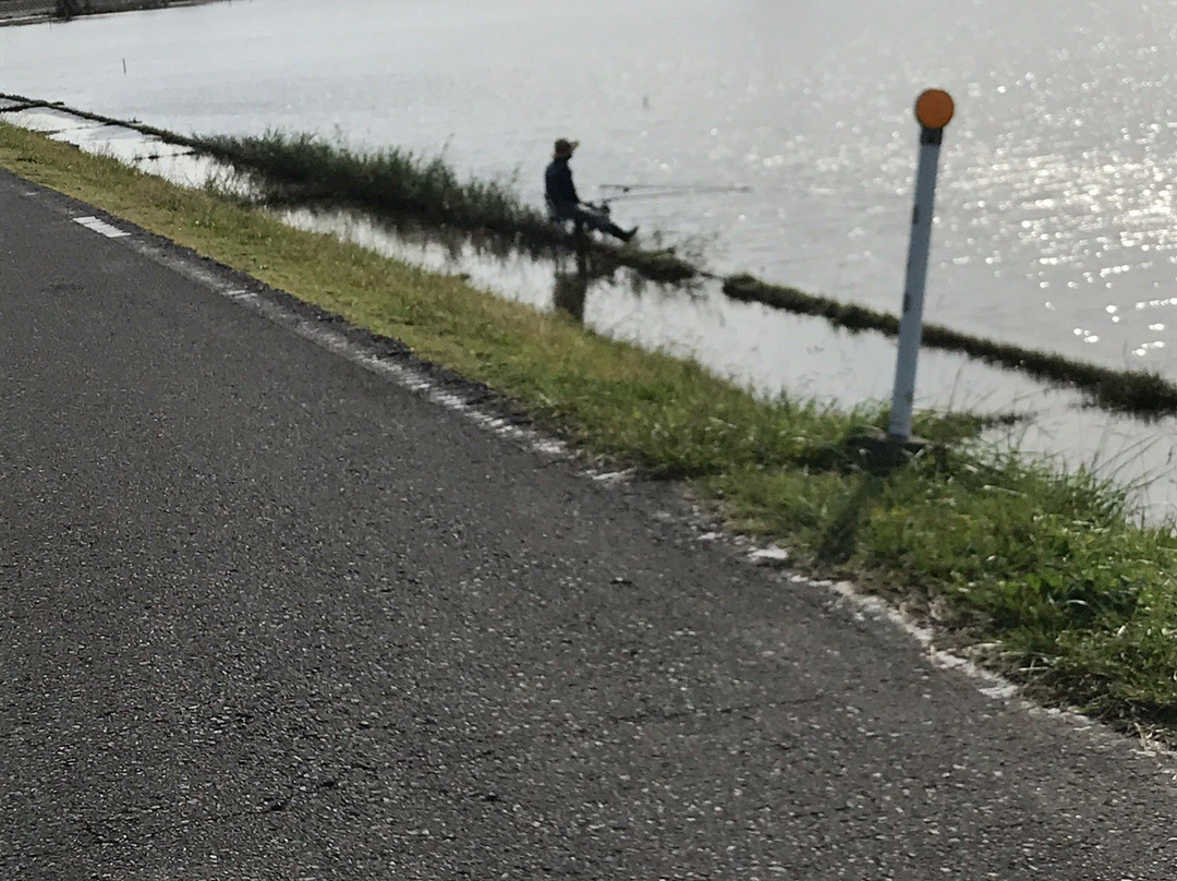 Kashima Jingu Torii-鹿岛市必去景点
