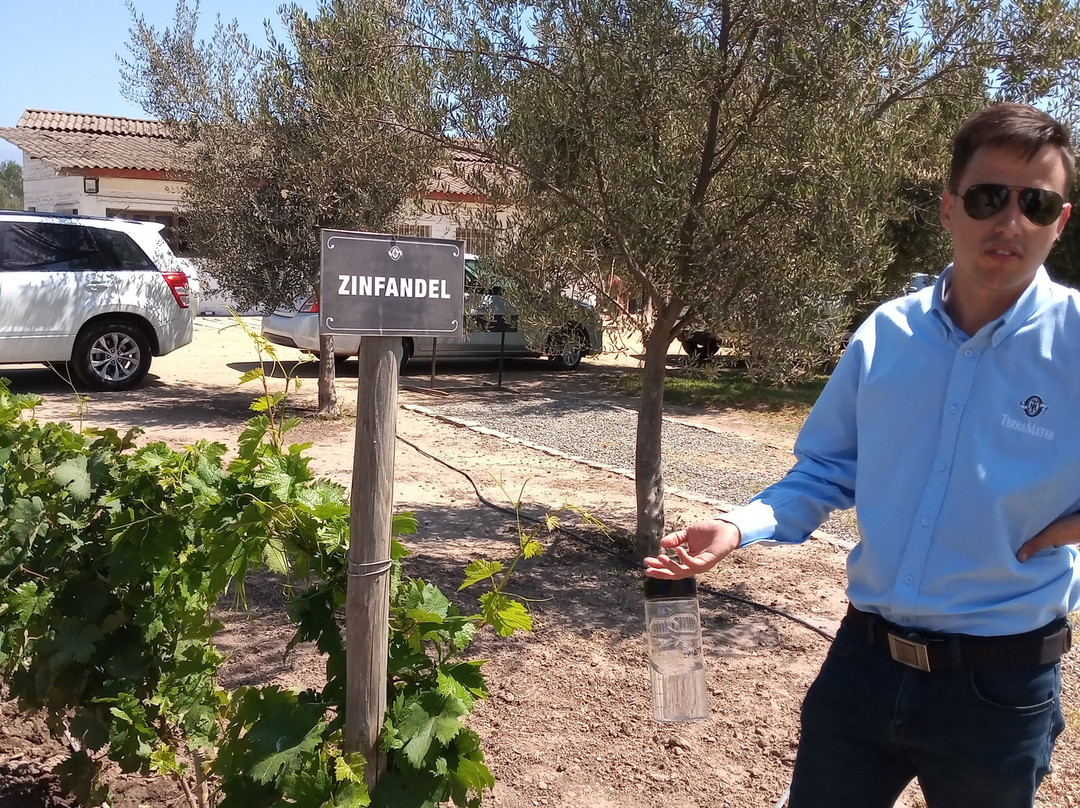 Vina TerraMater-Isla de Maipo必去景点