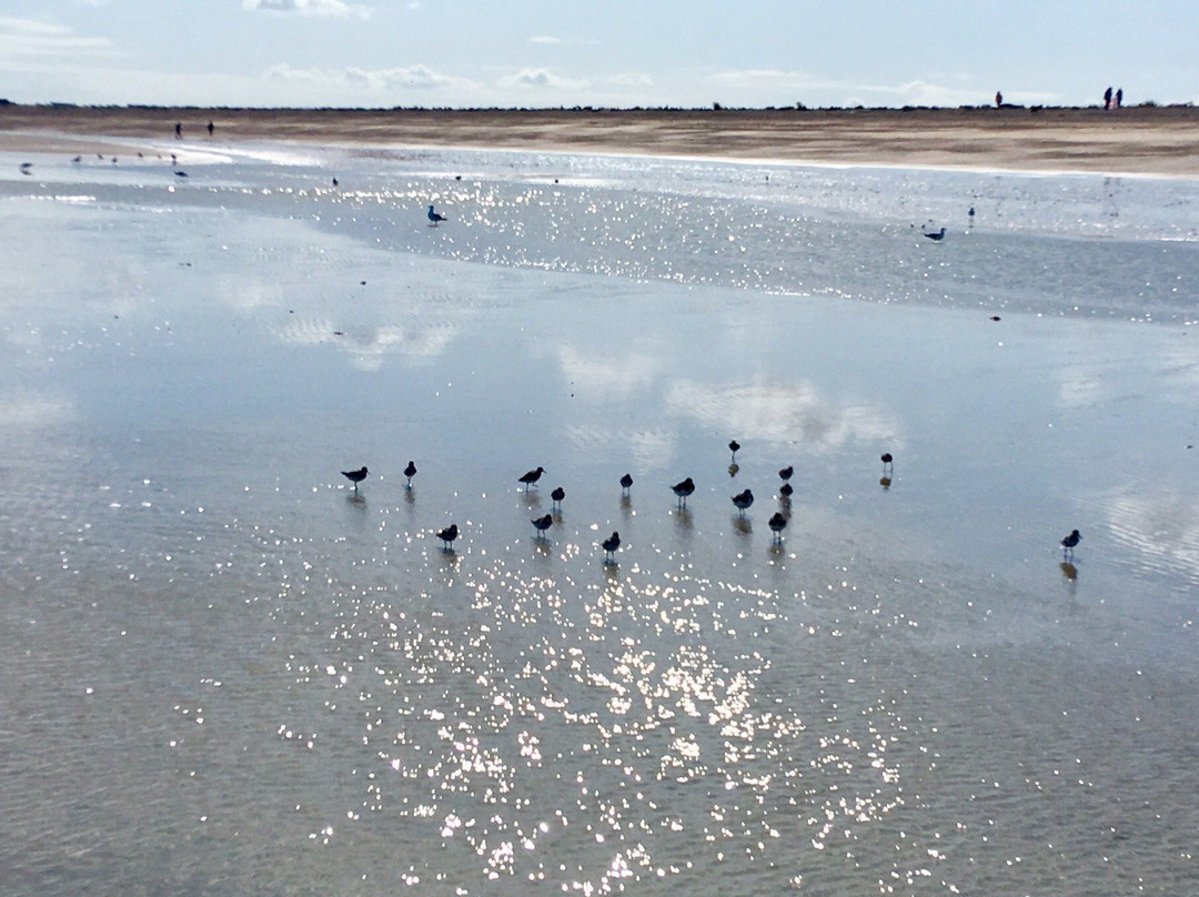 Sandwich Bay Beach景点图片