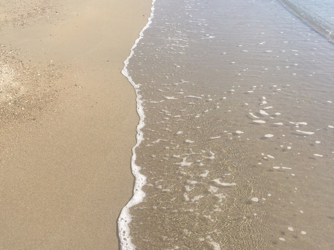 Livadi Beach-Schinoussa必去景点