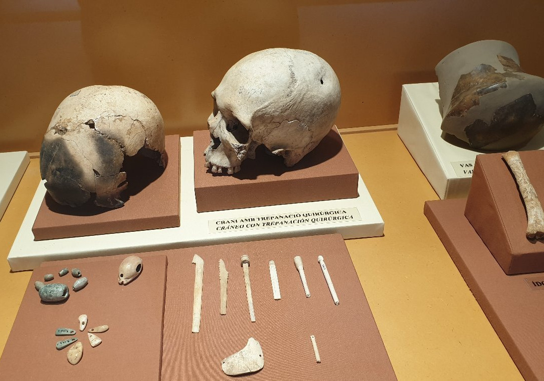 Museu Arqueologic Municipal Camil Visedo Molto景点图片