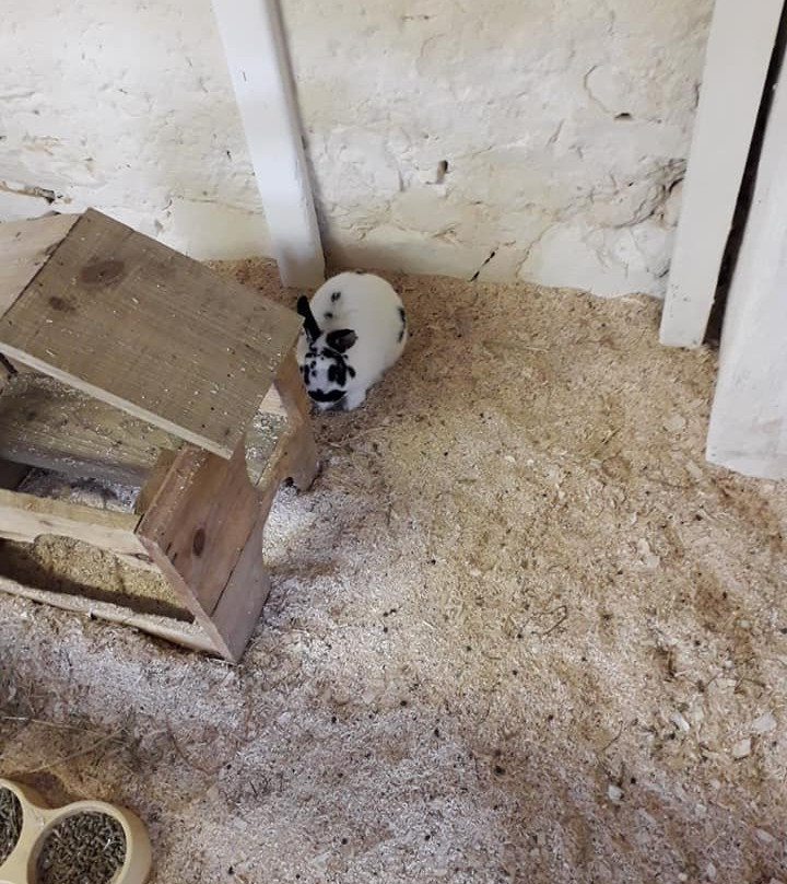 Lurgybrack Open Farm-County Donegal必去景点