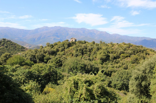 Le tombeau des Rivarola-Oletta必去景点