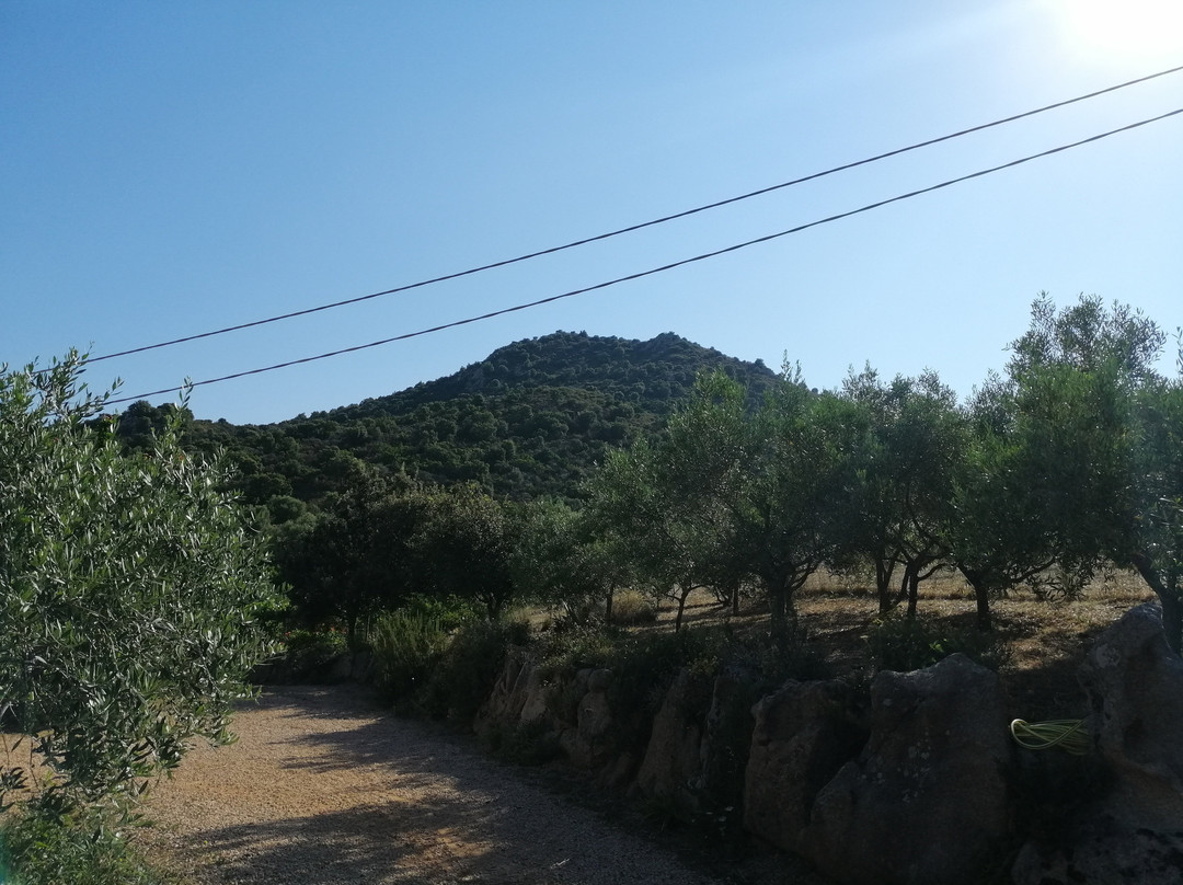 Domo Minnannu Miriu主图