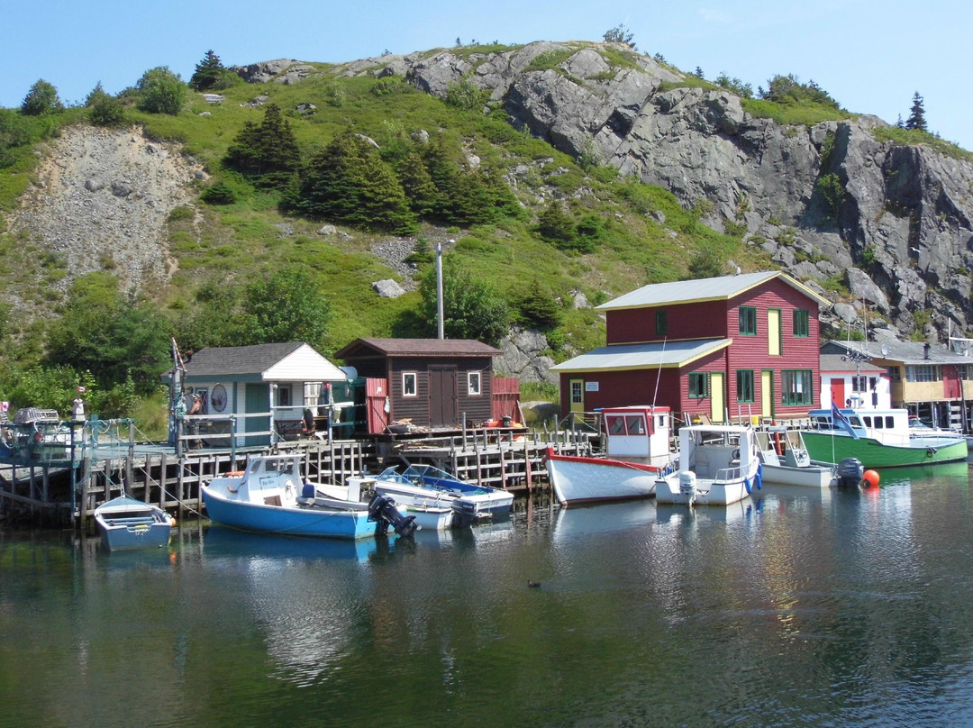 Quidi Vidi Lake Trail景点图片