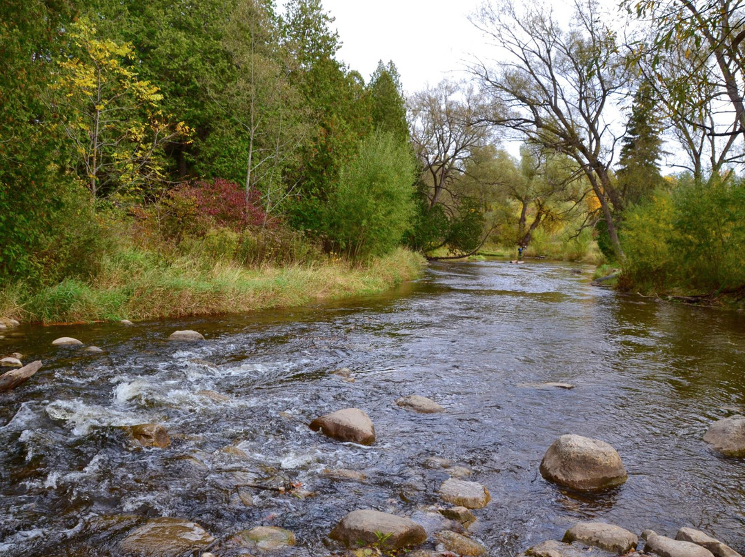 Lowville Park景点图片