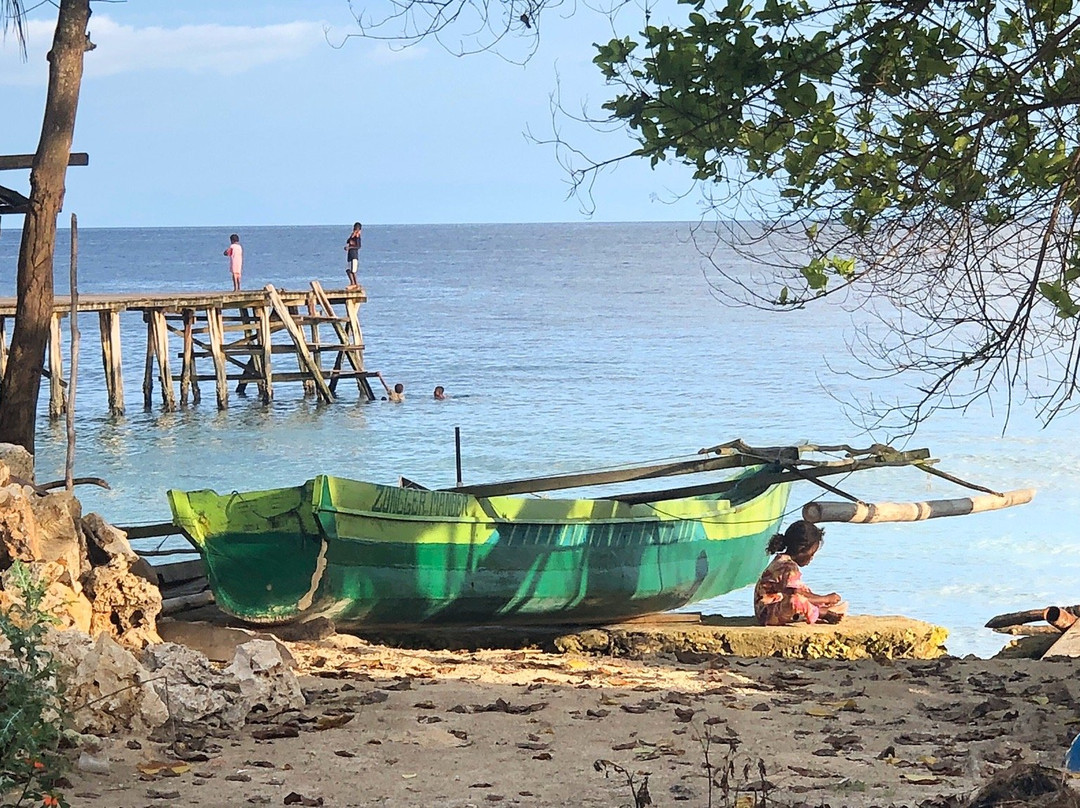 Saporkren Village-Waigeo Island必去景点