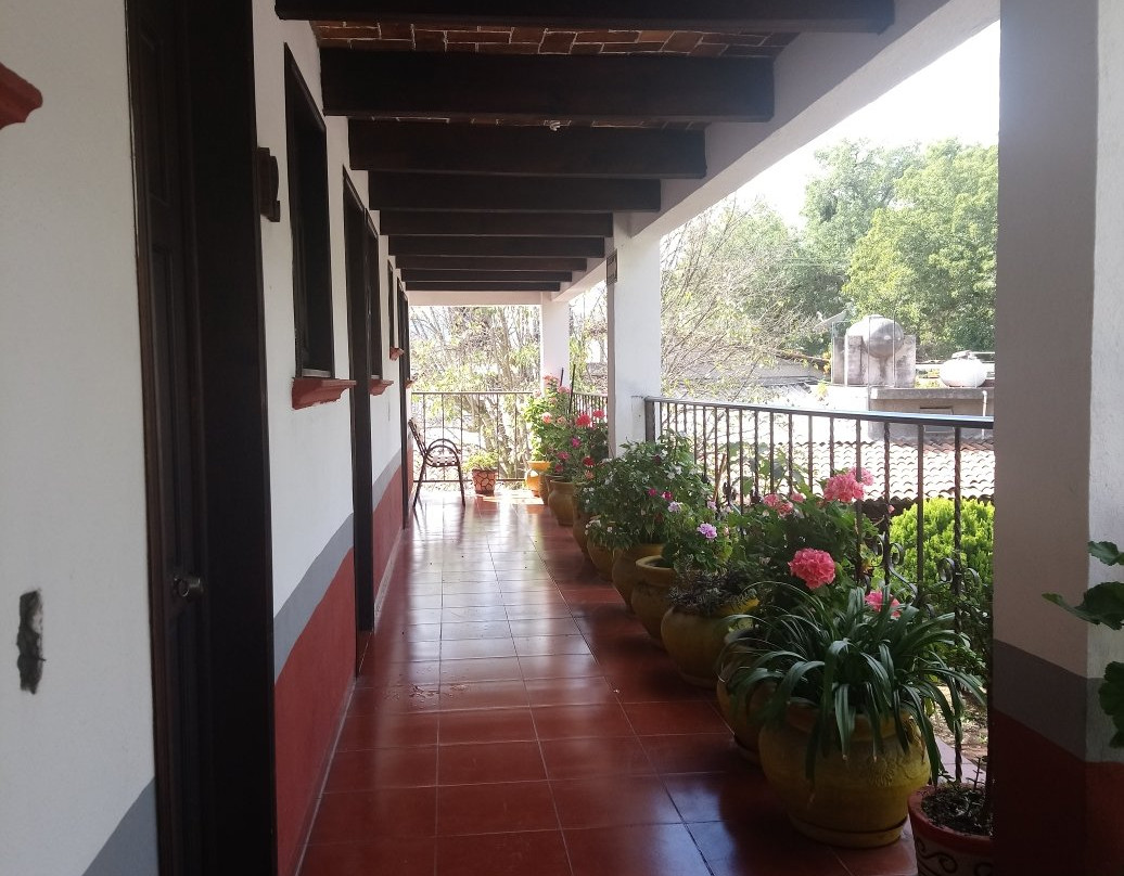 Los Pinos