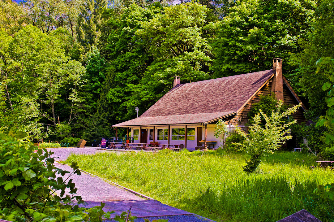 Goldstream Provincial Park景点图片