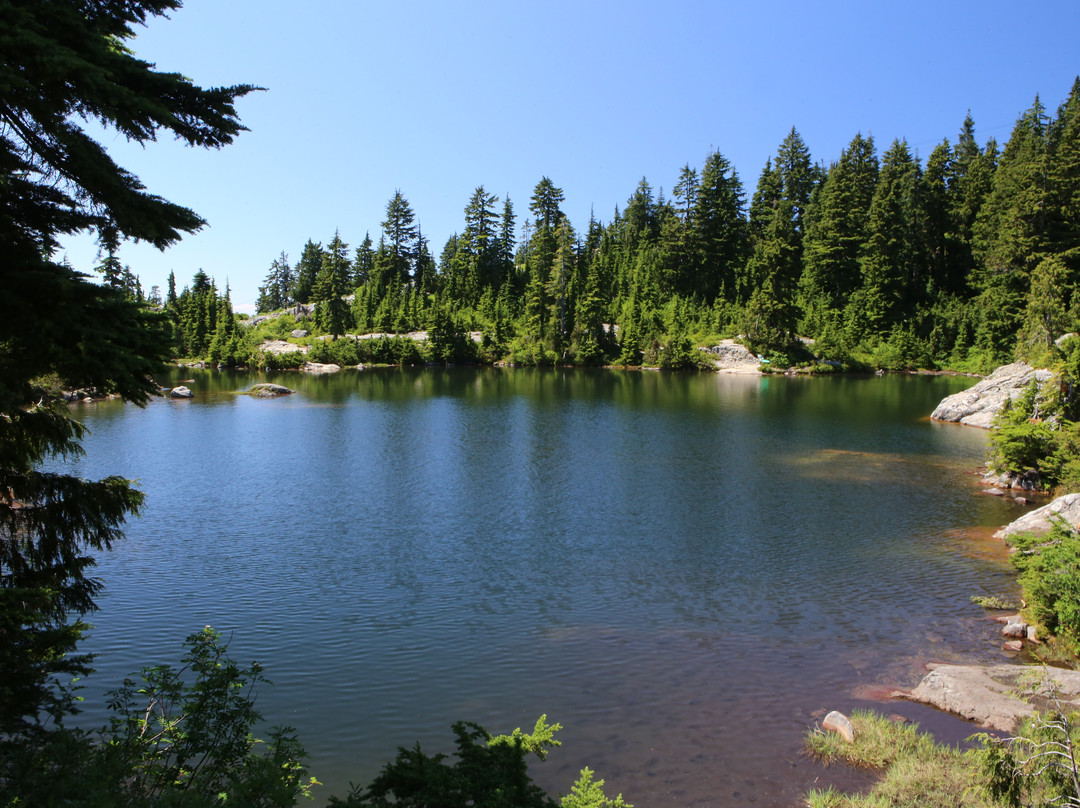 Mount Seymour Provincial Park景点图片