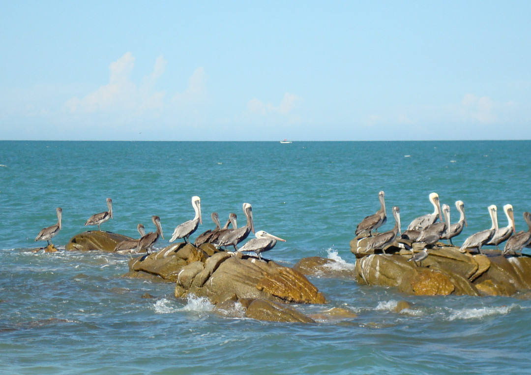 South Beach景点图片