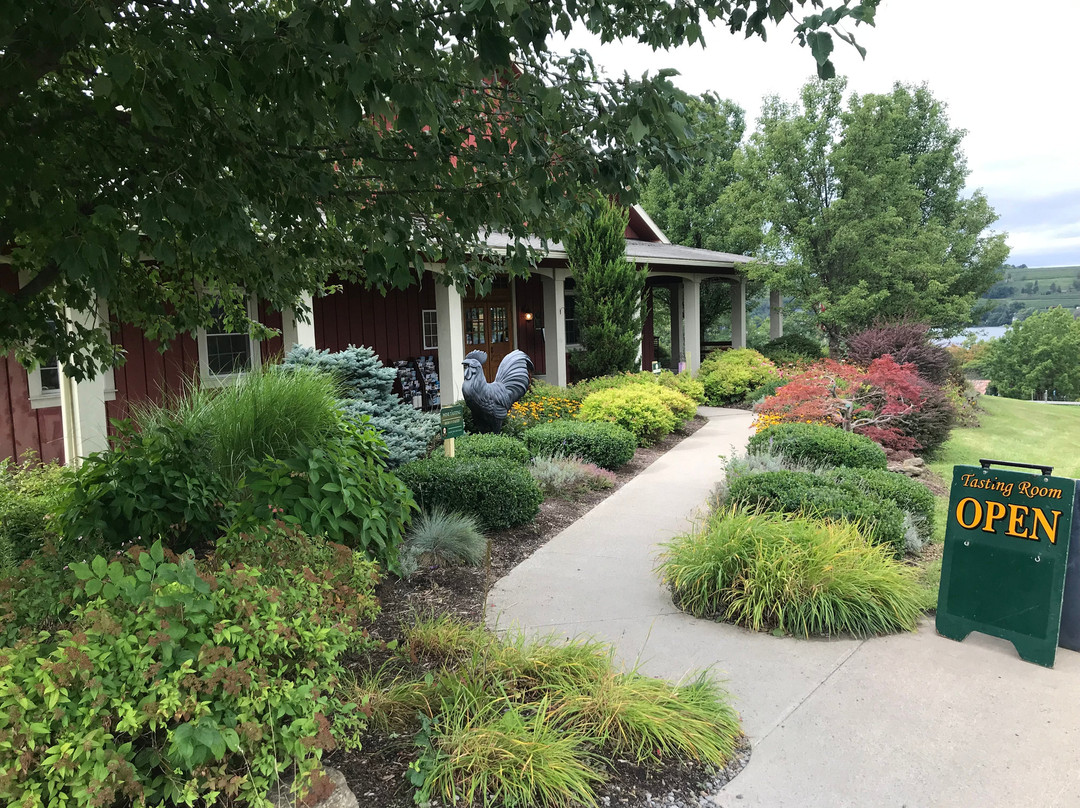 Rooster Hill Vineyards景点图片