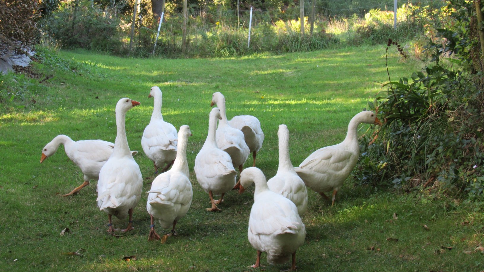 贝莱尔旅馆-浴室