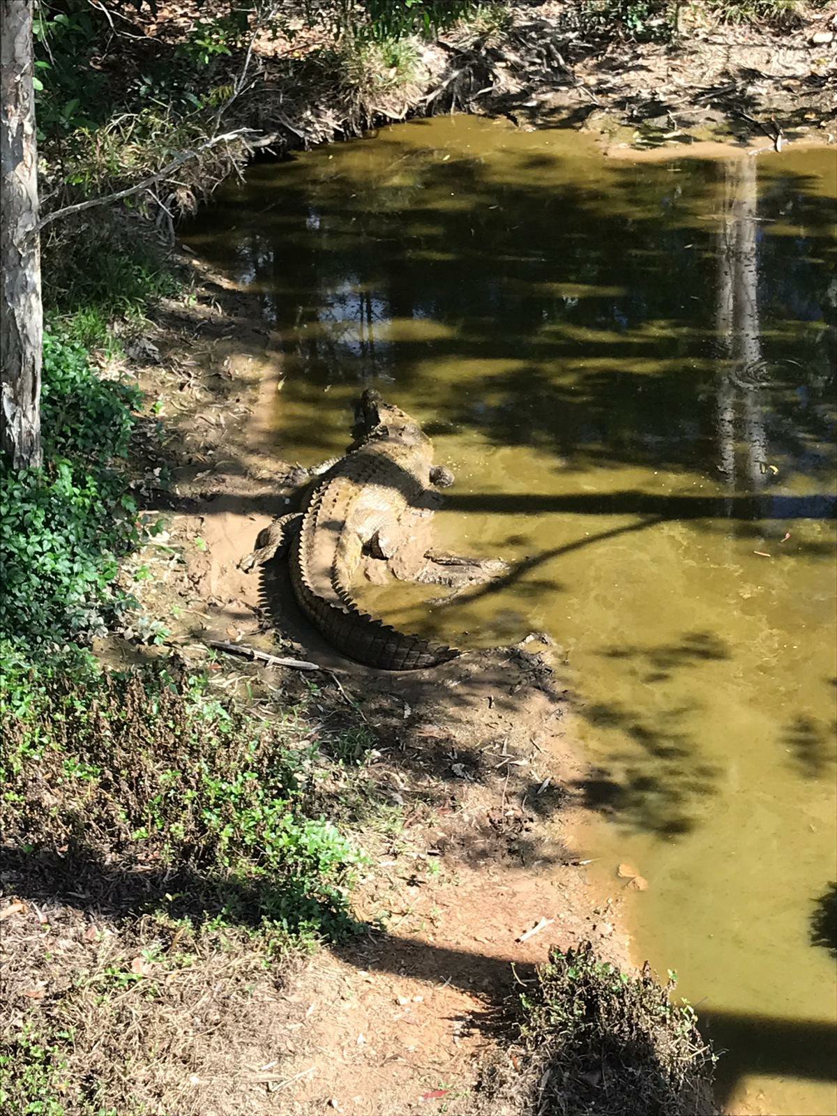 丹特里野生床和早餐-官方