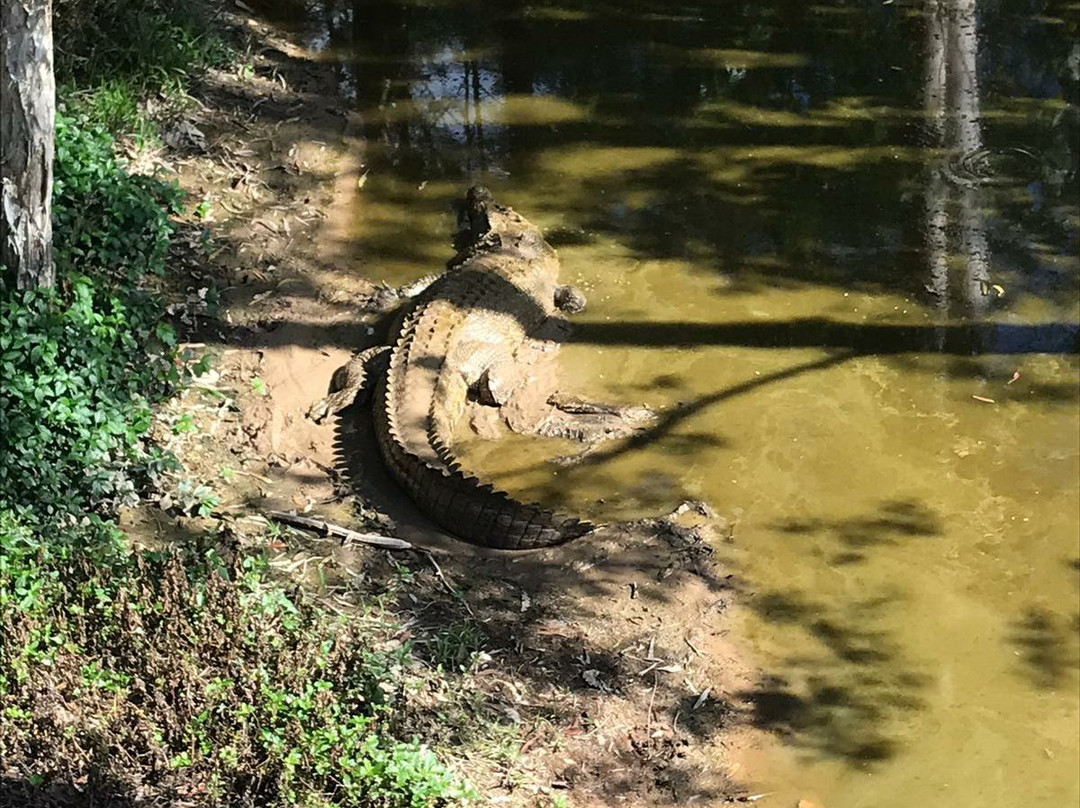 丹特里野生床和早餐主图