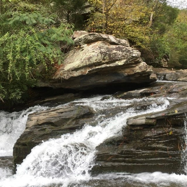 Turkey Creek Nature Preserve景点图片