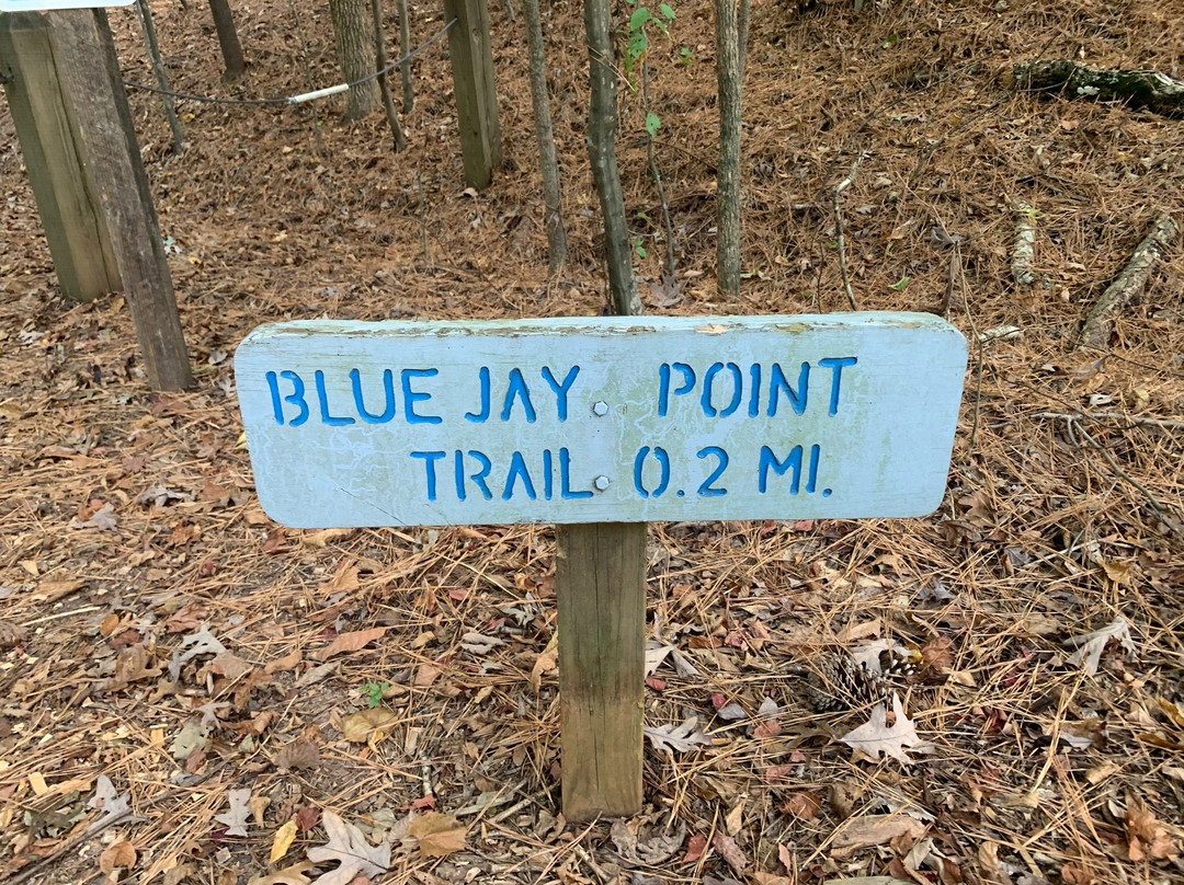 Blue Jay Point County Park景点图片