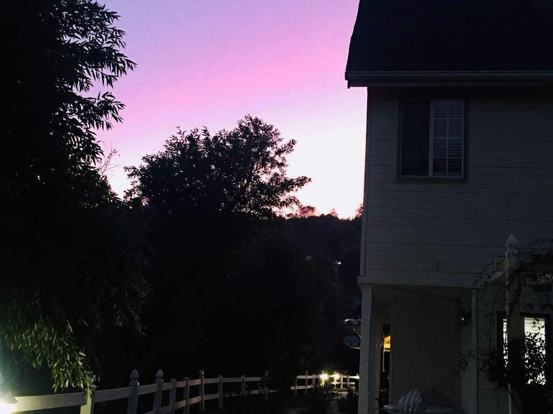 猎犬牙酒店主图