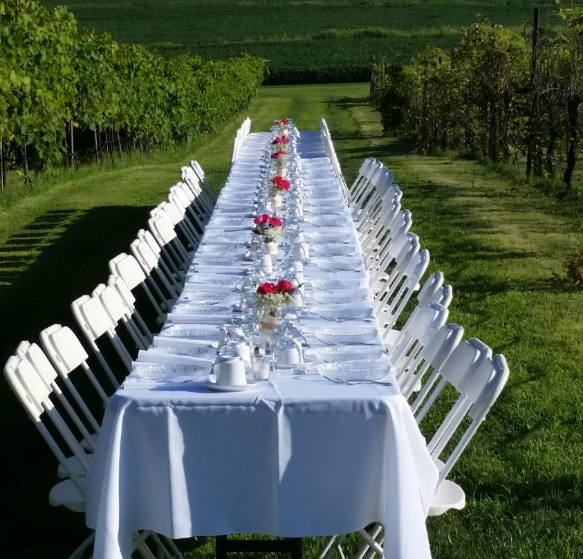Villa Milagro Vineyards景点图片