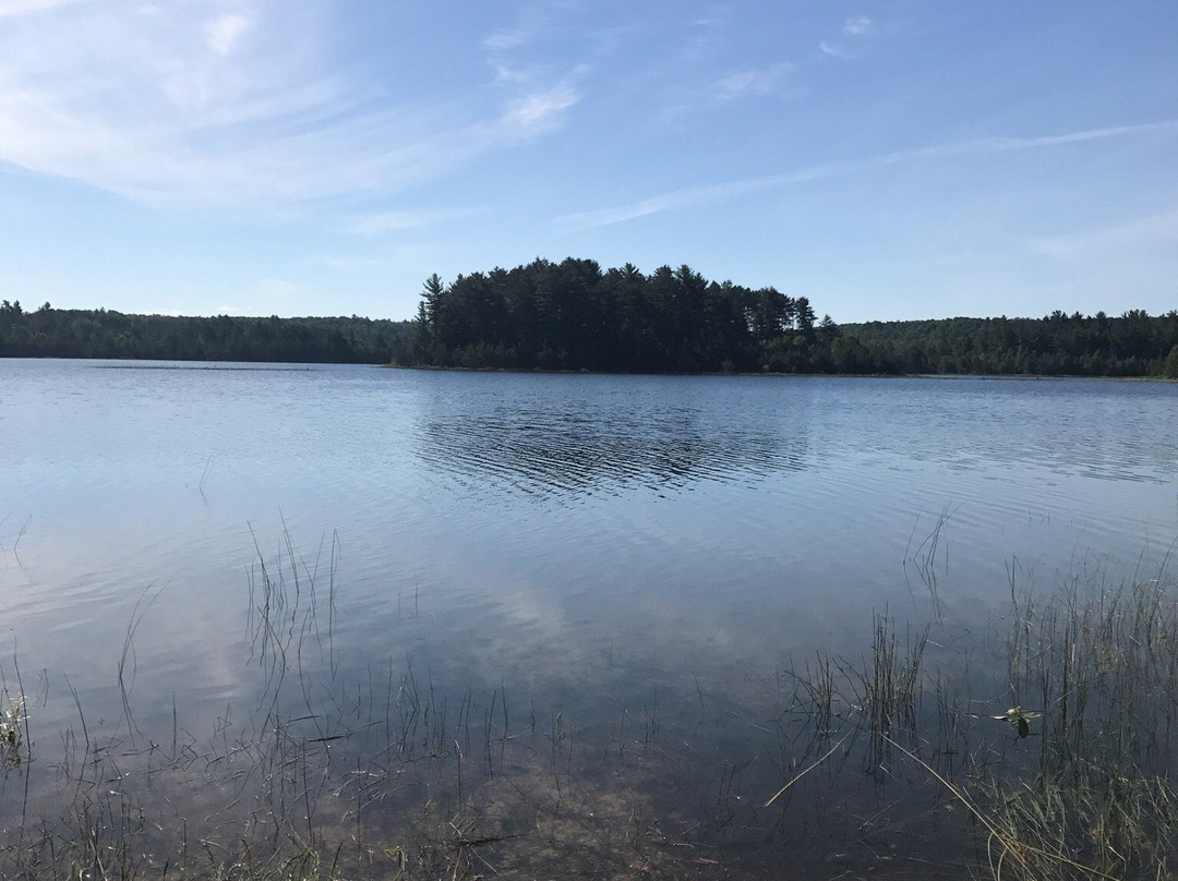 Kingston Lake State Forest Campground景点图片