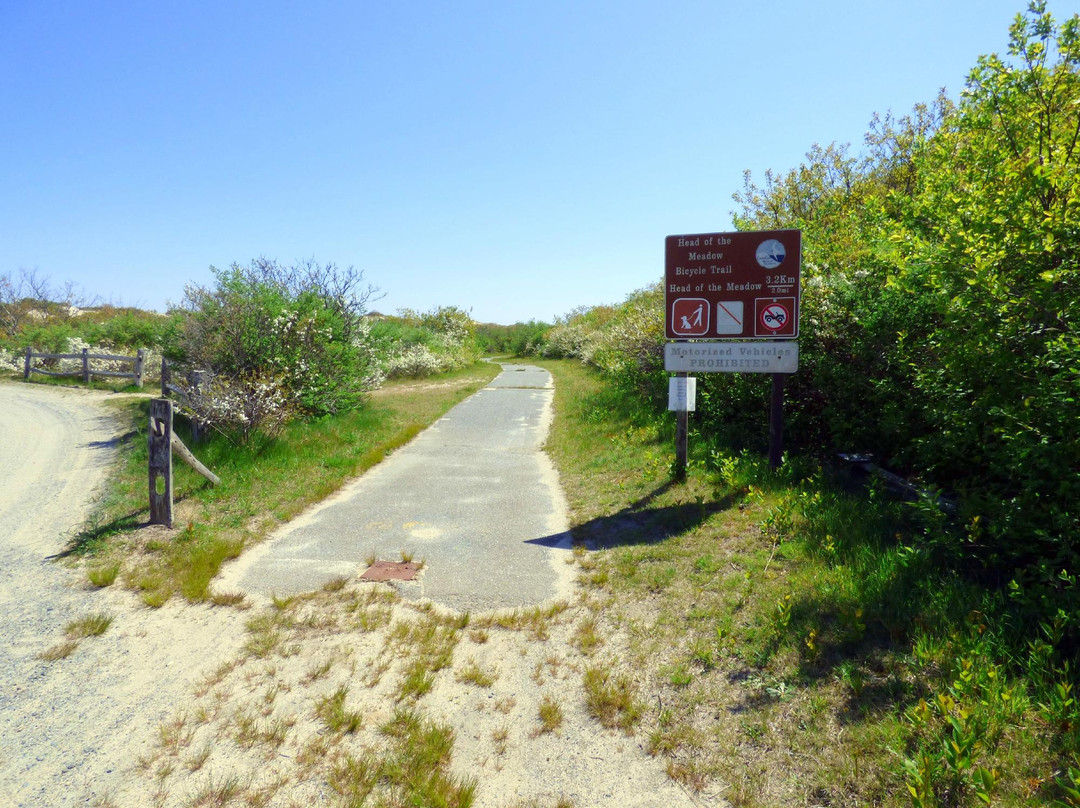 Head of the Meadow Trail景点图片