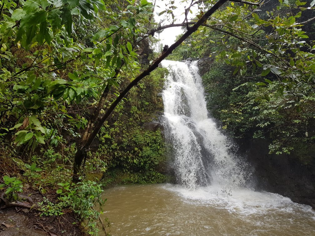 Waimano Pool Trail-珍珠市必去景点