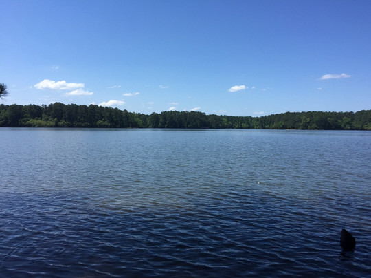 The Blankets Creek Trail System