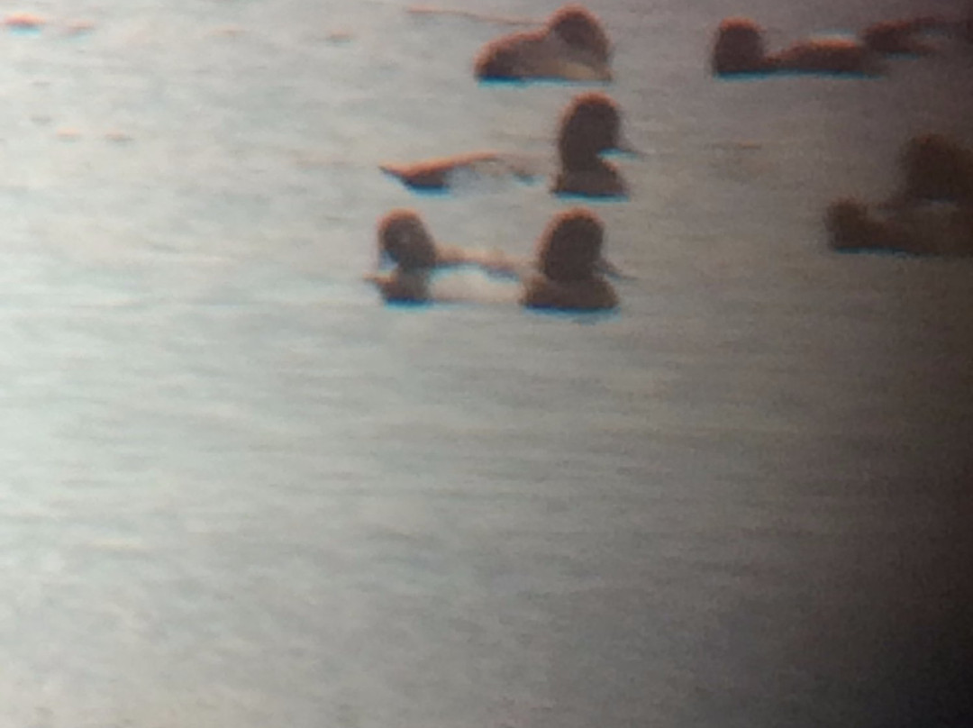 Intracoastal Waterway Park