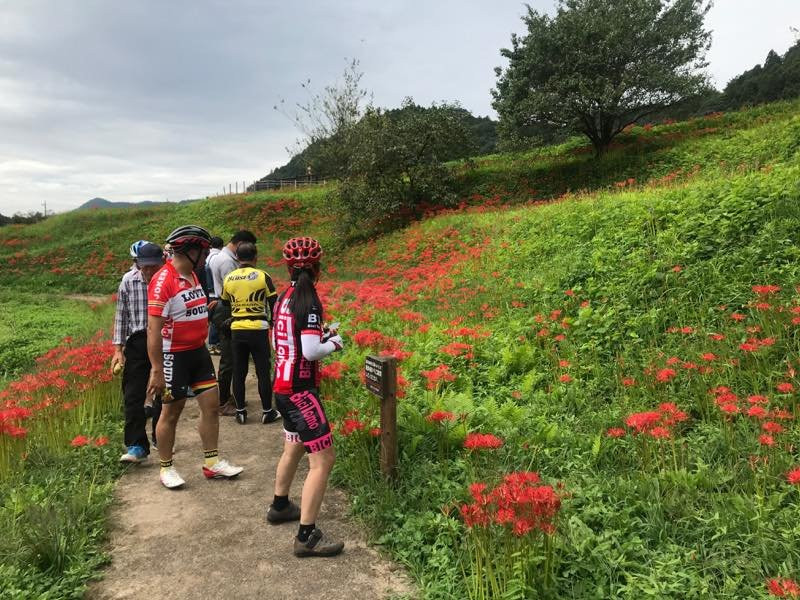 Minozawa Higanbana Park-那须町必去景点