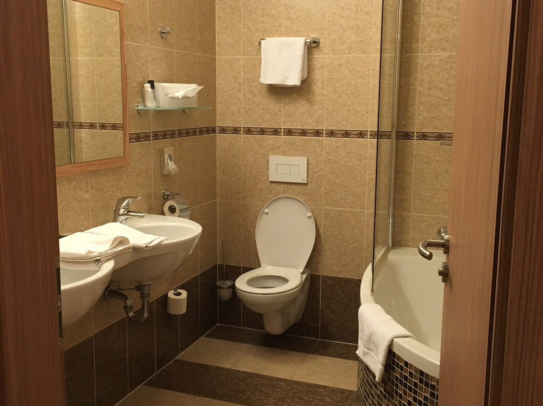 Hotel Zlata Vcela主图