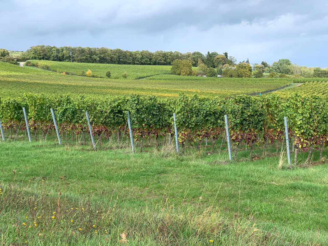 Weingut Stefan & Nicole Hitziger景点图片