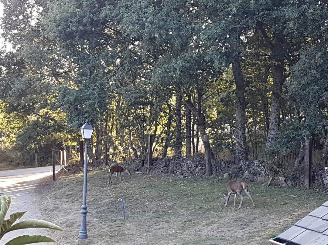 Hotel Rural Aguallevada主图