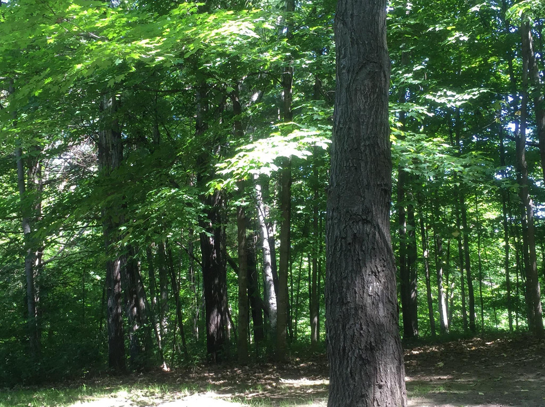 Glen Hill County Park景点图片