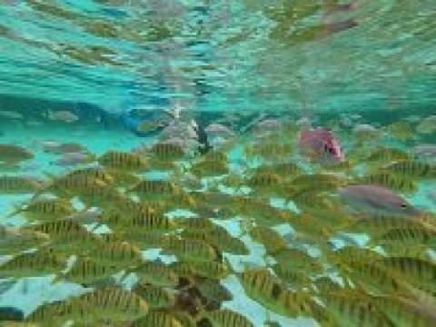 三亚海洋探索世界会议培训中心(崖州湾科技城店）-泳池