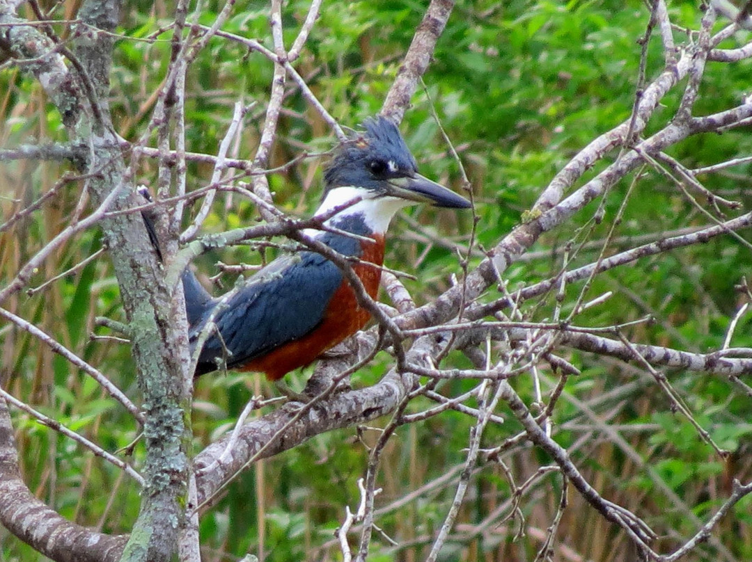 World Birding Center