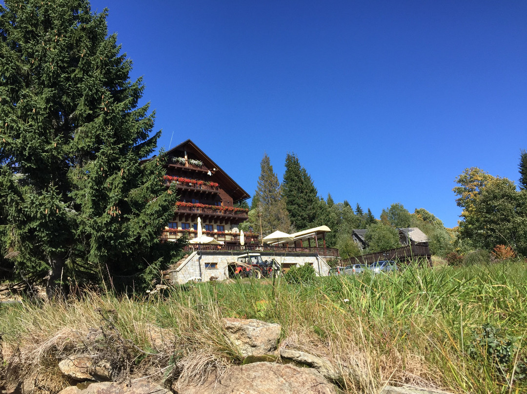 Hotel Alpska Vyhlidka主图