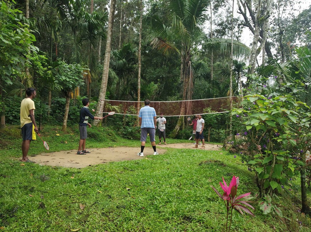 Forest Homestay主图