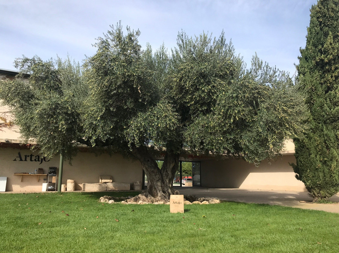 Aceite Artajo-Fontellas必去景点