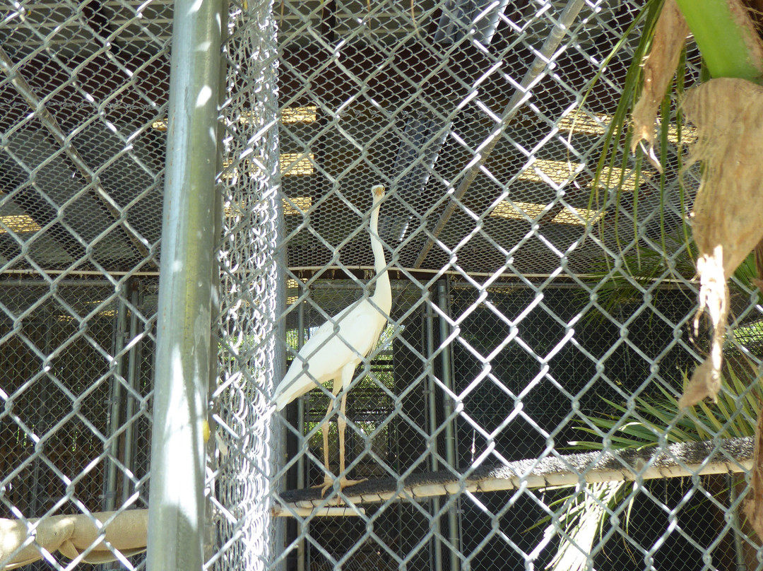 Key West Wildlife Center-基韦斯特必去景点